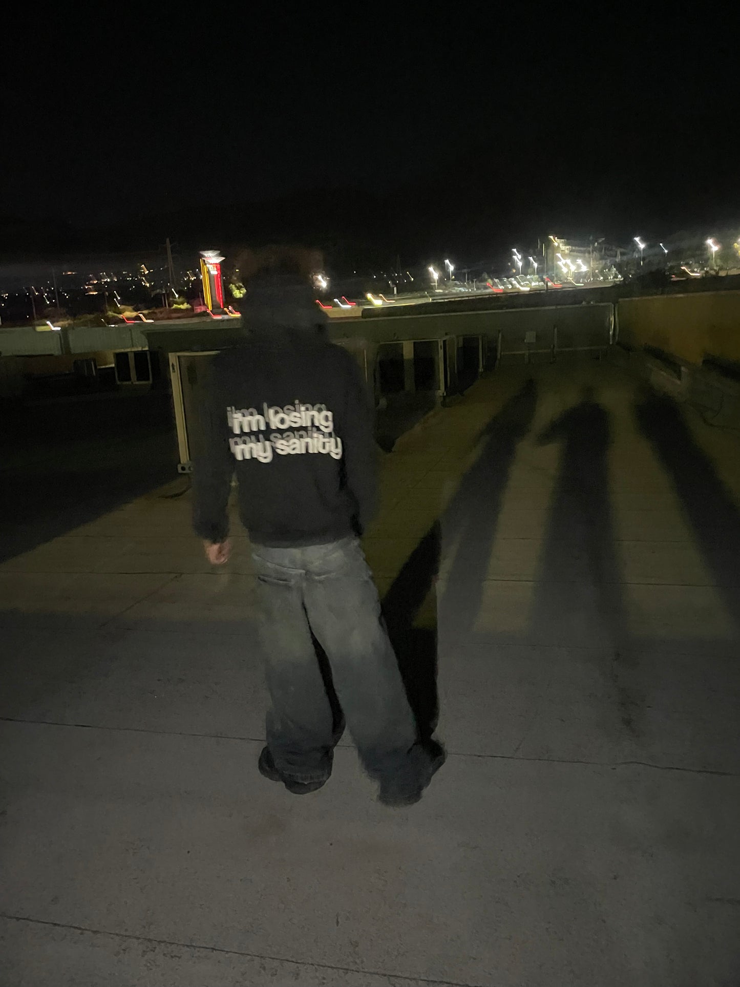 i'm losing my sanity hoodie