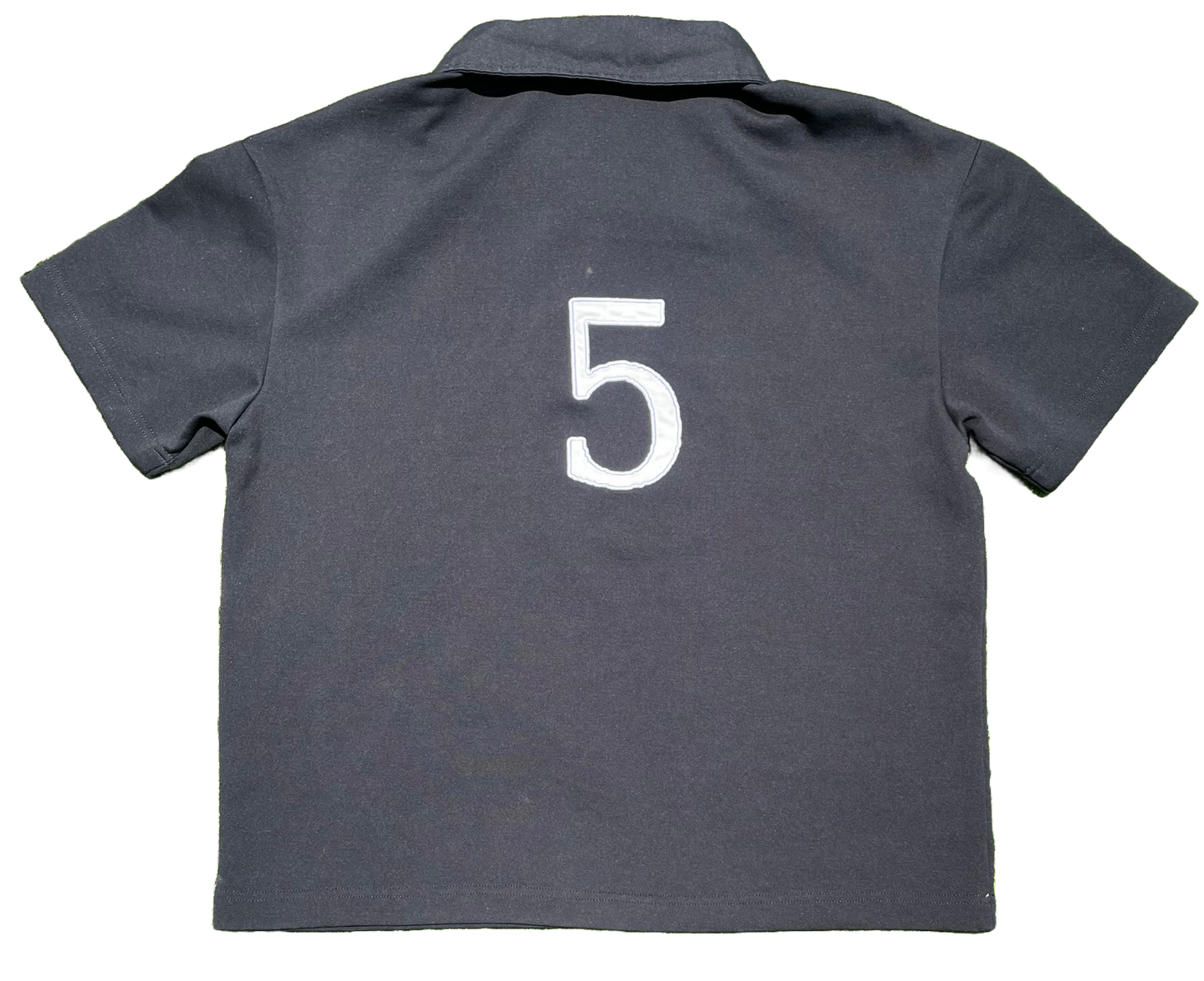 sanity polo