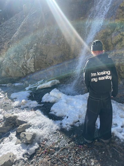 i'm losing my sanity hoodie