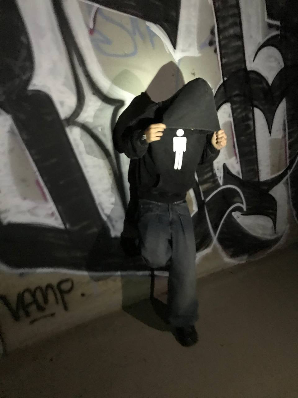 i'm losing my sanity hoodie