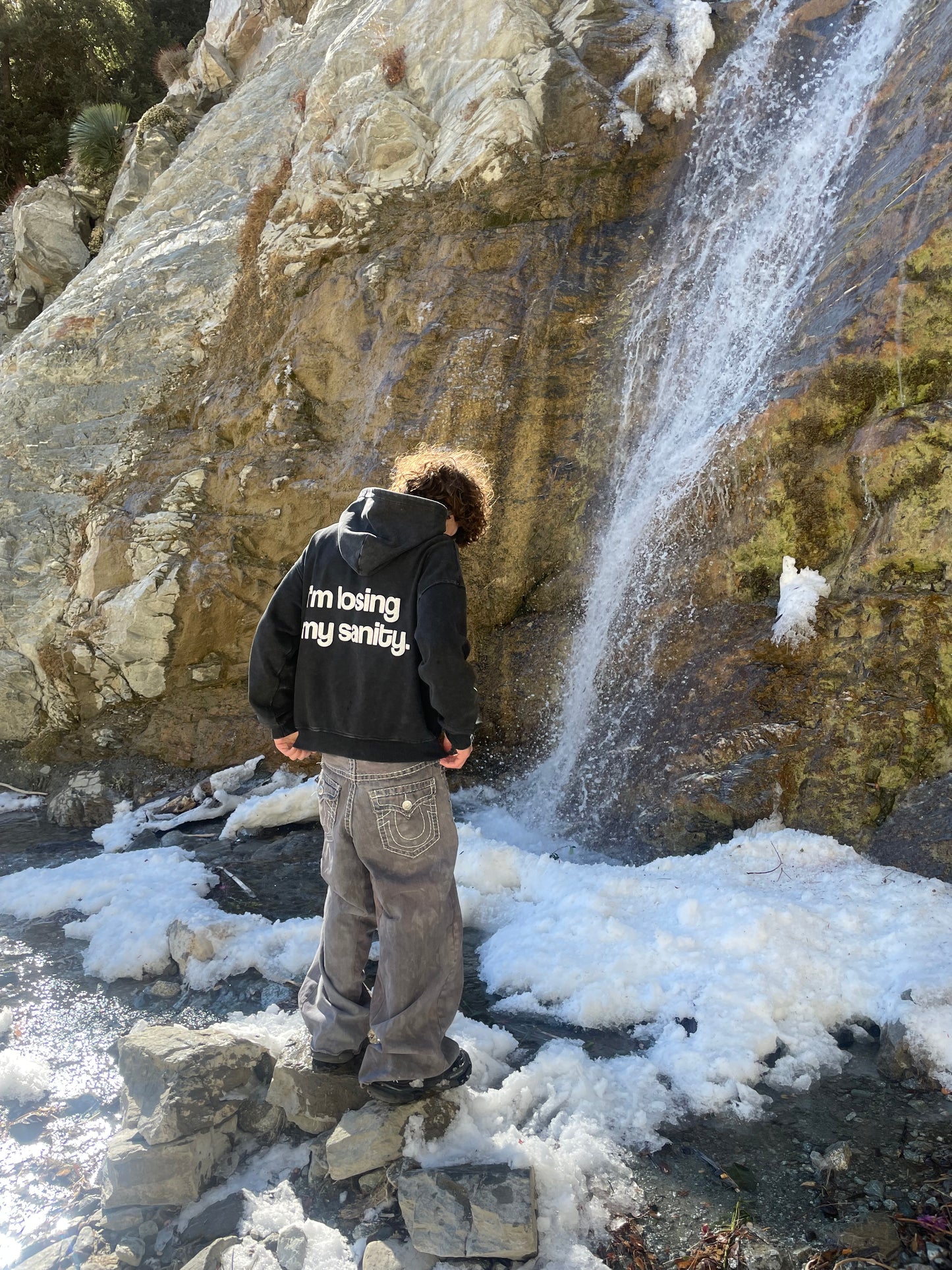 i'm losing my sanity hoodie